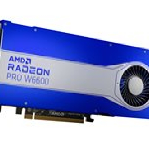 AMD Radeon PRO W6000 Radeon PRO W6600 8 Go GDDR6