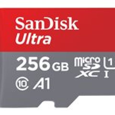SanDisk SDSQUAC-256G-GN6FA mémoire flash 256 Go MicroSDXC UHS-I
