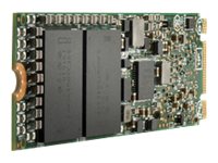 HPE 480GB NVMe RI M.2 22110 MV SSD