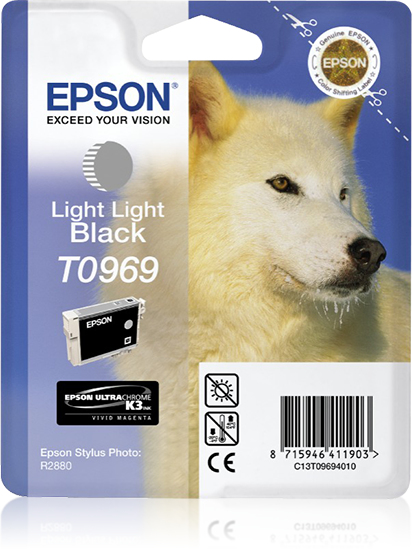 Epson T0969