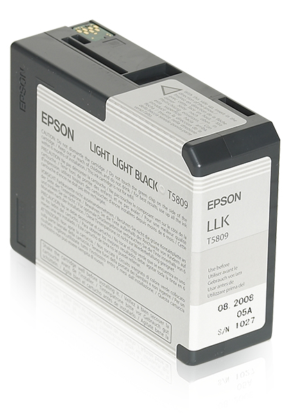Epson T5809
