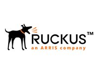 Ruckus 4 Post