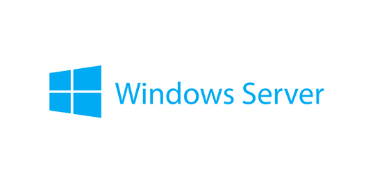 Microsoft Windows Server 2019 Standard downgrade to Microsoft Windows Server 2016