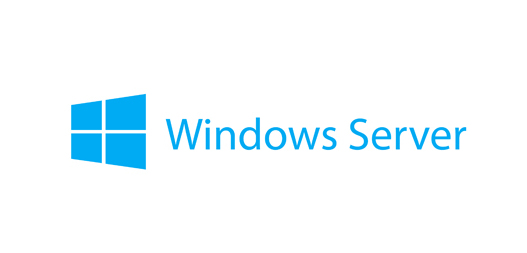 Microsoft Windows Server 2019 Datacenter