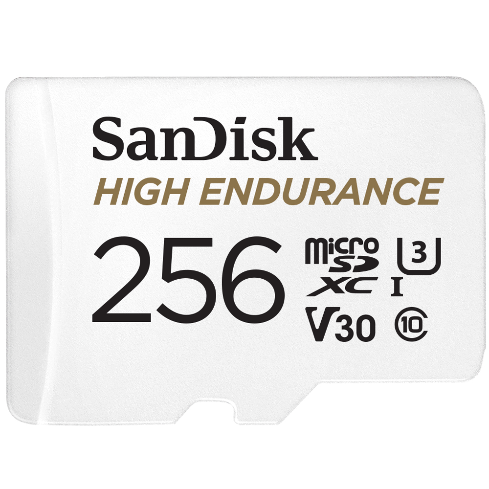 SanDisk High Endurance