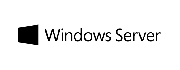 Microsoft Windows Server 2019 Datacenter Edition