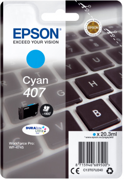 Epson 407