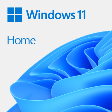 Microsoft Windows 11 Home Produit complètement emballé (FPP) 1 licence(s)