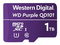 WD Purple WDD100T1P0C