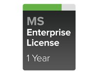 Cisco Meraki LIC-MS220-48LP-1YR licence et mise à jour de logiciel 1 année(s)