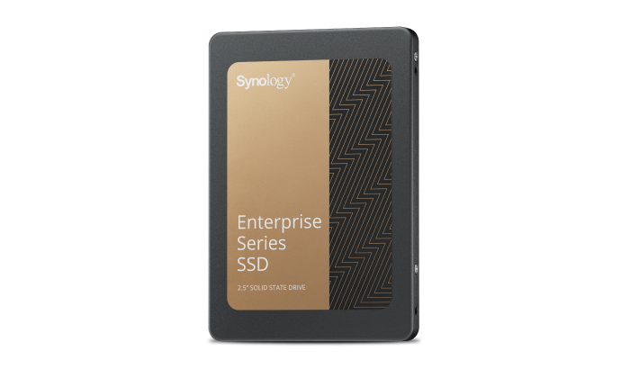 Synology Enterprise Series 2.5" 3,84 To Série ATA III