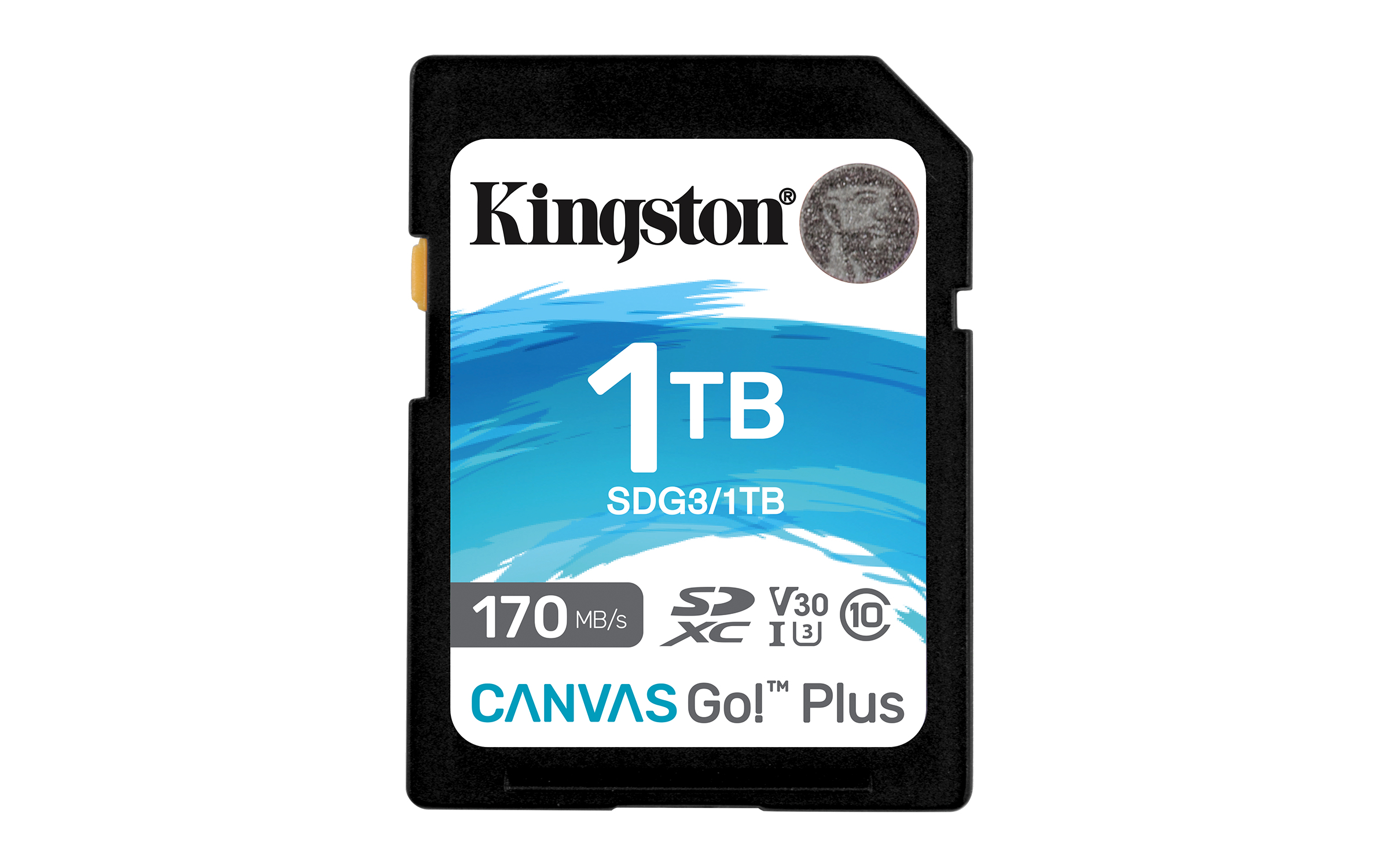 Kingston Technology Carte SDXC Canvas Go Plus 170R C10 UHS-I U3 V30 de 1 To