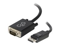 1ft .3m USB-C to DisplayPort Cable