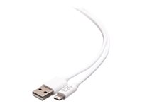3ft/.9m USB A to Lightning Cable White