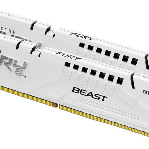 Kingston Technology FURY Beast 32 Go 6400 MT/s DDR5 CL32 DIMM (Kits de 2) White EXPO