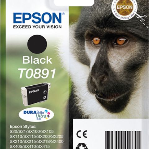 Epson T0891