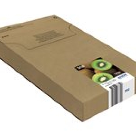 Epson 202 Multipack Easy Mail Packaging