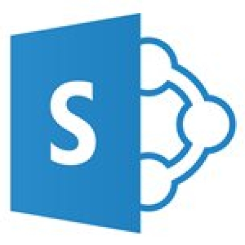 Microsoft SharePoint Server 2019 Enterprise CAL