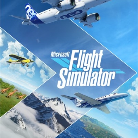 Flight Simulator Basique Xbox Series X